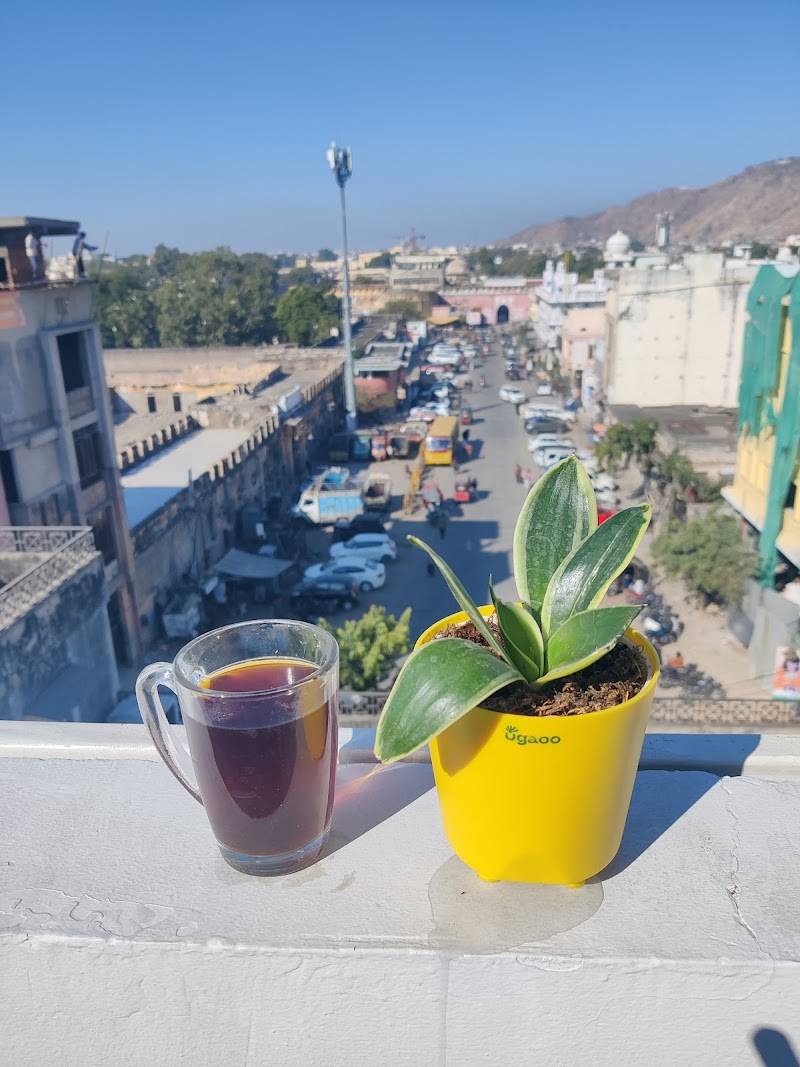 Madpackers Jaipur